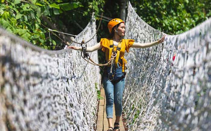 zipline bridge